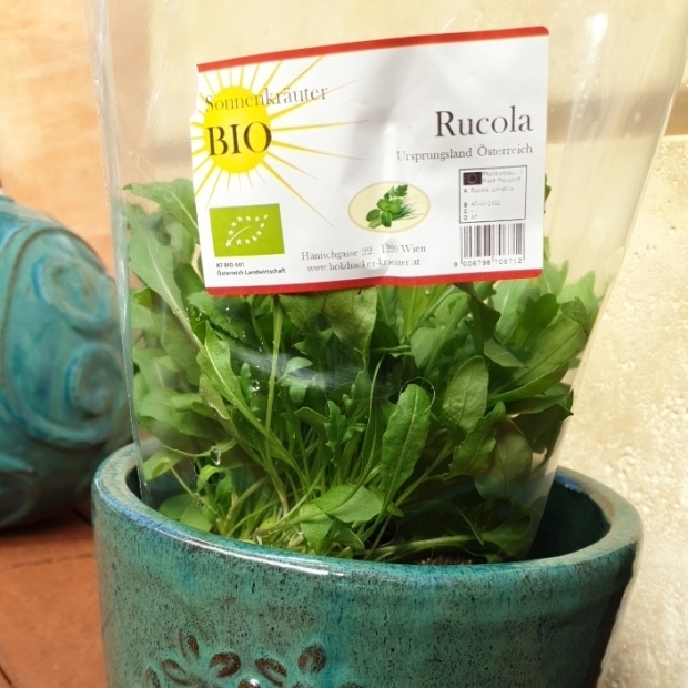 Rucola kaufen 1190 Wien - Gärtnerei Döbling